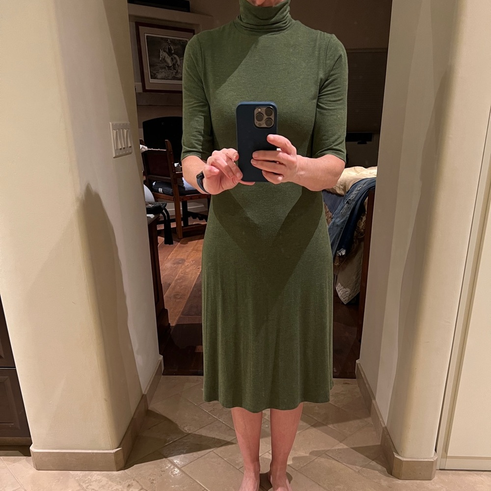 Moss Turtleneck Dress